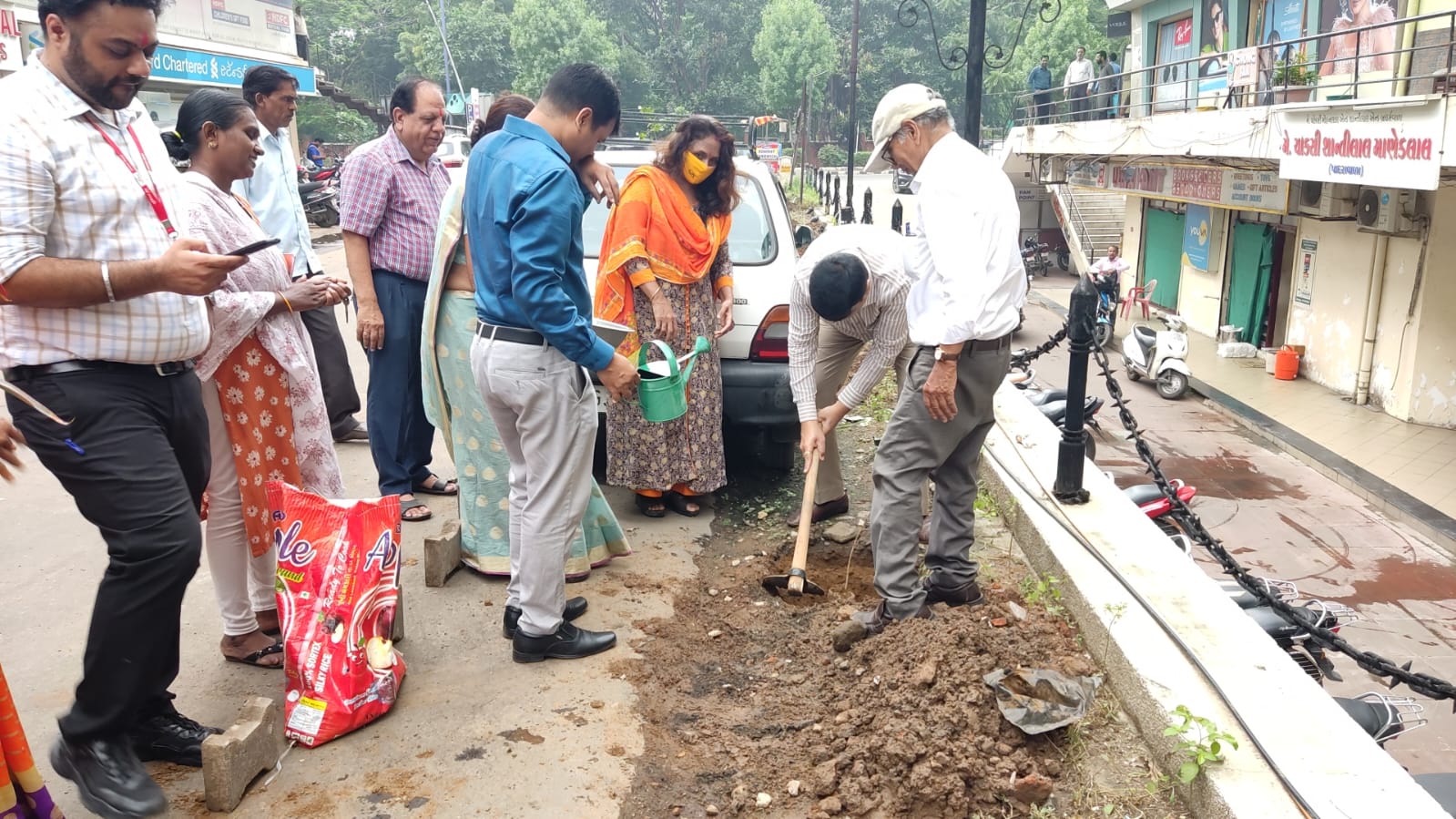 Tree Plantation
