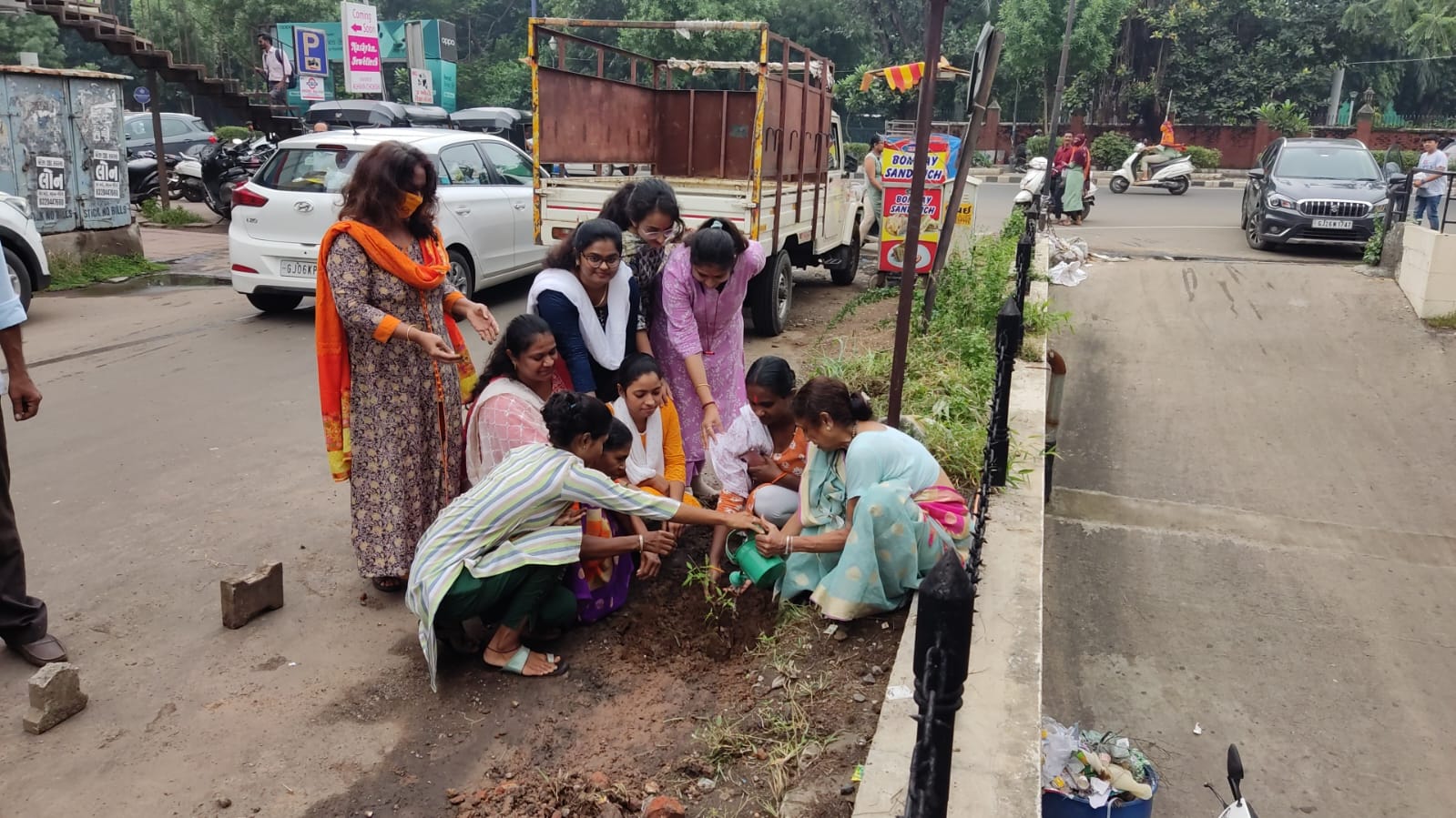 Tree Plantation